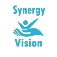 Synergy Vision image 14